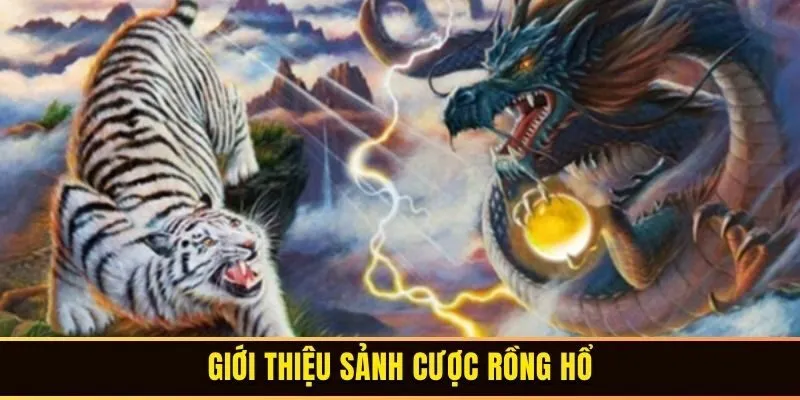 Top 5 Rồng Hổ Online Hữu Hiệu Cho Từng Cược Thủ 1 Giới thiệu sảnh cược rồng hổ